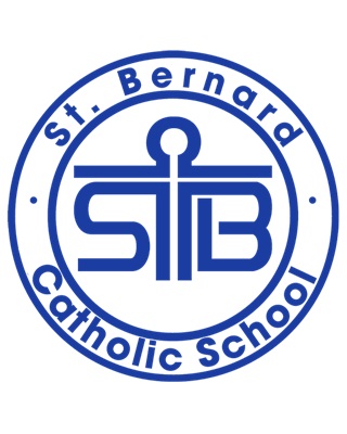 STB Logo ICON