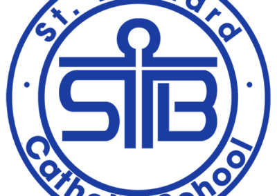 STB Logo ICON
